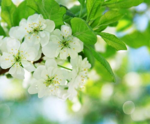 10.今天，我的祖父非常高兴。额头上的鱼尾脚伸出，精神spirit强，善良的脸露出温柔的微笑。