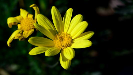 12.相思树的底部说相思，中秋的月夜谈论团圆。问你对爱有爱的地方，翻看秋天的水，希望人们能回来。想想郎，恨郎，但是满月照耀着我的心。树头上有相思树种子，从8月15日团聚开始。