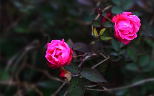 10.月亮挂在秋天的天空上，光泽湿润。受惊的喜habitat栖息地不确定，萤火虫飞来。汀淮的冷影子稀疏，林楚的夜晚焦急。最好的住宿时间是什么？站立看天空。秋天的夜晚下有一个怀抱。