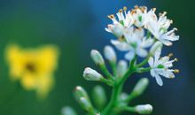 和姐妹喝酒开心的句子