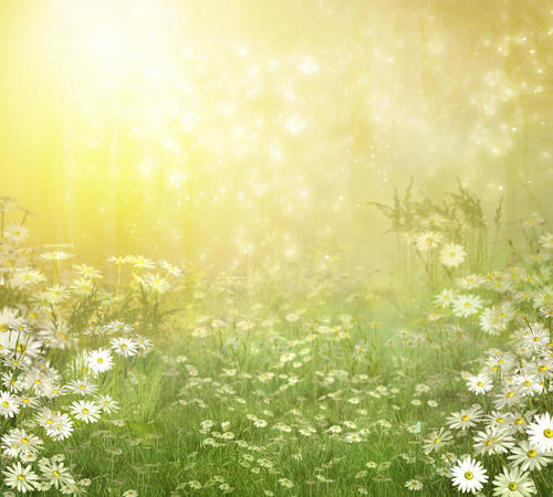 12.家庭感情具有奇妙的力量；家庭感情是一个永不褪色的话题。亲情，11坛旧酒，香甜可口；这是一幅传世的名画，精美而永恒。这是一首经典的老歌，柔和而温柔；它是一种珍贵的丝绸，细腻而光滑。