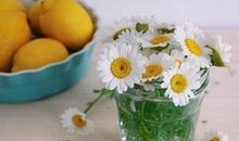 孩子在海边玩得很开心的句子