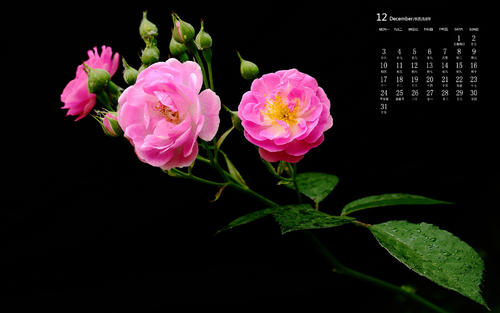 10.进入我的相思之门，知道我难过。 -李白《三五七词/秋风词》