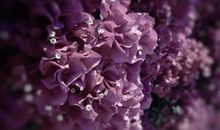 跟老公对亲情的句子