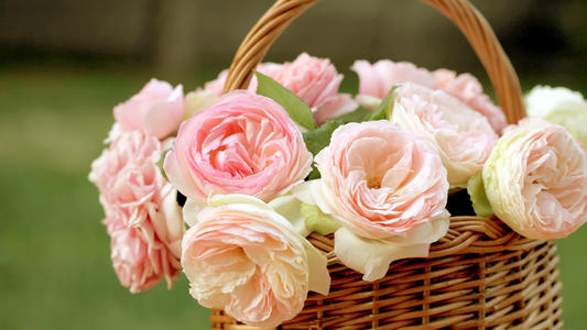 11.笑是一种镇静剂，无副作用。