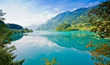 形容开心幸福的眼泪句子