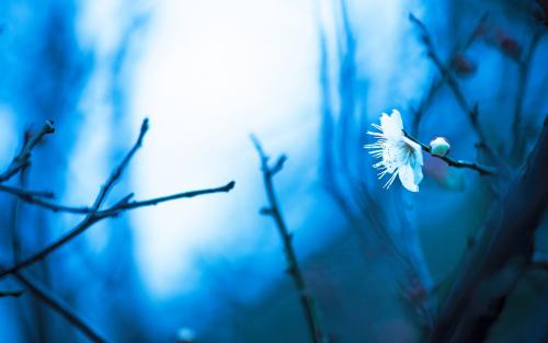 10.让我特别高兴的是：体重秤上缺少的数字，美味的小吃以及每天见到您。