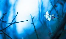 形容收到信息很开心的句子