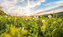 关于阳光亲情的句子说说心情短语