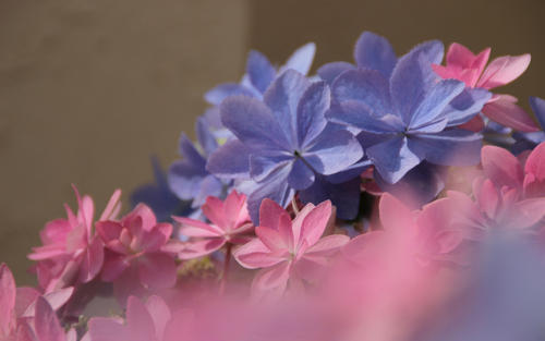 11.世界上最令人兴奋的事情之一是，一个您认为自己没有机会亲近您的人。