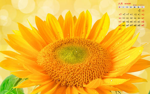 12.我真的很想买两个超大的电风扇，以消磨我的记忆。