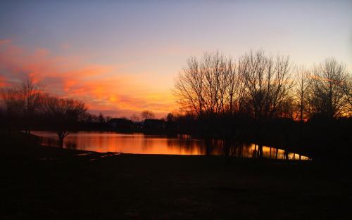 12.为我的父母悲伤，生下我并精疲力尽。 -匿名“廖娥”