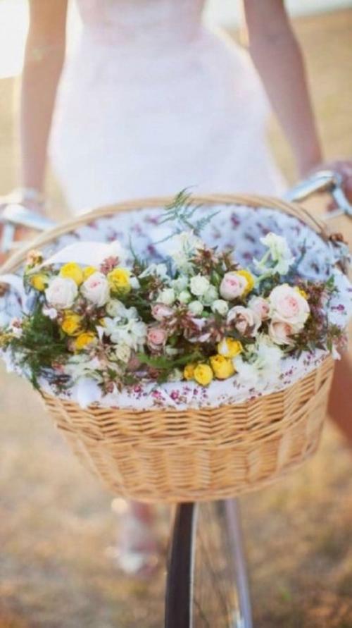 12.家庭情感是您生病时的探望和护理。她使您在黑暗中感受到阳光的温暖，并增强了您战胜疾病的决心；