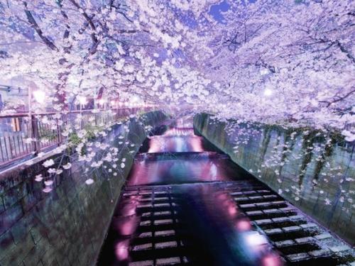 9.那种无助和绝望的感觉是,你离他很近,但你不能爱他,愿意给他手,只是为了让他开心。