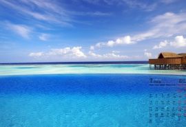 12.每天醒来，告诉自己：少一点理由，大一点的肚子，嘴巴更甜美，脾气小一点，行动更快，效率更高，笑容更开放，头脑更好。清晨的微风吹拂着欢乐的钟声，我的心里演奏着欢快的音乐，说“早上好”，向你问好！