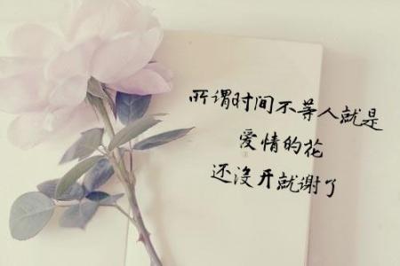 8.在这一生中,在这一生中,因为没有了你,所以爱突然变老了。