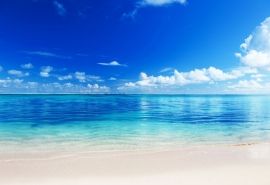 11.天亮了，美好的一天又开始了。起床，呼吸清新，拥抱阳光；微笑，开心，整天开心。早上好，希望您有良好的意愿！