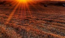 亲情和责任的句子