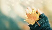 有关亲情的句子有出处