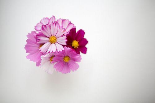 11.也许在这个世界上只有阴影不会背叛你。