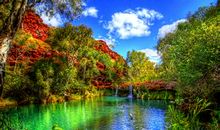 景色的优美句子