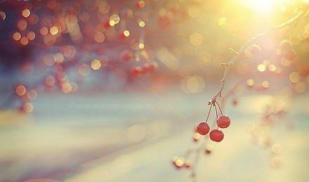 12.时间是宝贵的。尽管它限制了人们的生活，但人们可以在有限的生活中充分利用它。鲁迅先生说，时间每天是二十四小时，但是一天的时间给勤劳的人们带来了智慧和力量，对懒惰的人只留下了遗憾。