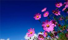 长的亲情句子说说心情