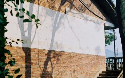 10.实际上，每朵花都有自己的生命。当一朵花枯萎时，它是生命的尽头，而种子则是生命的延续。它继续承受着这个世界的风雨，并面临着另一个循环。