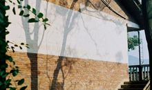 关于时光的句子