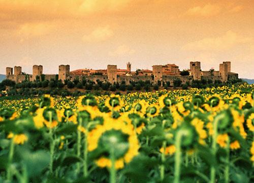 12.所谓幸福是指身体没有痛苦，灵魂也没有受到干扰。幸福指的是身体上没有疼痛，灵魂上没有干扰。