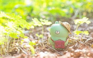 10.一个幸福的家庭是培育儿童和成人的温床，家庭生活的快乐是抵抗不良气氛毒药的最佳动力。