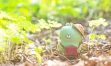 亲情是甜的优美句子