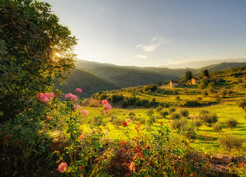 10.学生们欣喜若狂，所有人都欢呼雀跃。学生们都为之欢欣鼓舞，并为之欢呼雀跃。