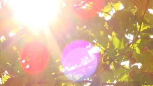 12.出门五分钟,出汗两个小时。