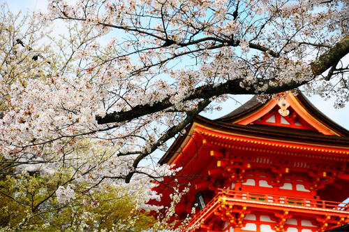 11.能让您快乐的人可能不是您周围最富有,最有能力和最受过教育的人,而是您周围最有价值的人。