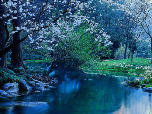 11.事实证明，有一种感觉叫无助，有一种感觉叫无助。