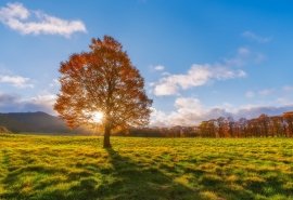 10.我真诚地想把赚钱变成我的爱好。