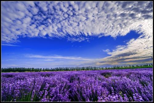 11.与世界上几个人见面，笑了一百年，可能会几次。 -何梦桂，《墨雨儿，记录岁月在哪里》