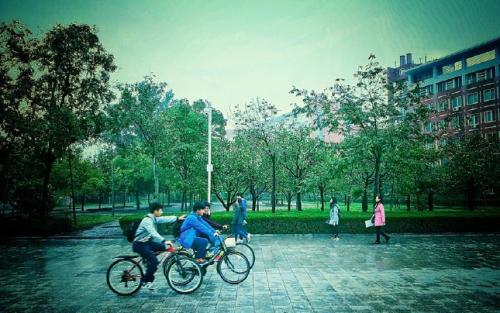 青少年校园美句2