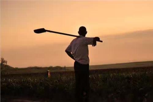 12.爸爸是工厂的生产调度员。他30多岁，中等身材，浓密的黑眉毛，瘦削的脸。当他微笑时，他的眼睛睁大了，几只鱼尾纹从他的眼角中挤出来。爸爸的左下角还有一颗小痣。我曾经风趣地说，这是我父亲的一个大印记！