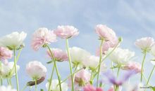 与人有关亲情的句子