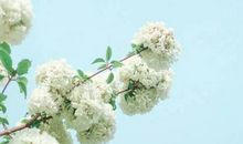 描写亲情的内涵句子大全