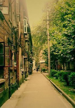 11.永远的母亲，永远的爱，但是没有永恒的时间让我们享受