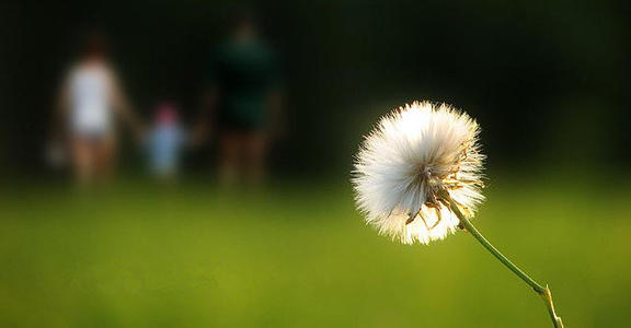 10.不要忘记别人生气时说什么，因为通常这就是事实。