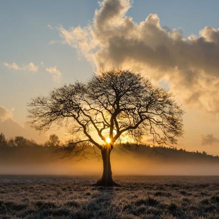 11.彼此了解是一种命运，相遇使我们拥有无尽的浪漫情怀。团结在一起是一种承诺，在世界的轮回中，我们将永远记住这个美丽的爱情故事！