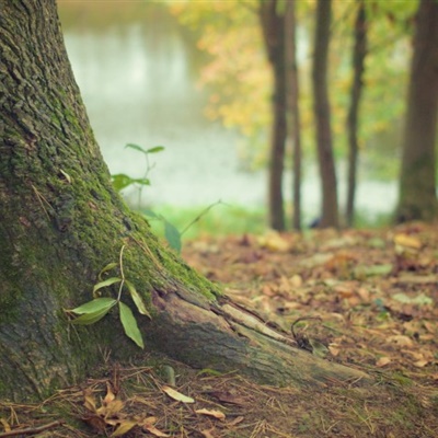 12.距离越远，错过的机会越深；持续时间越长，错过的机会越深；漫长的夜晚，什么时候会热爱爱情？