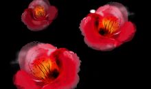 诗经中写亲情的句子