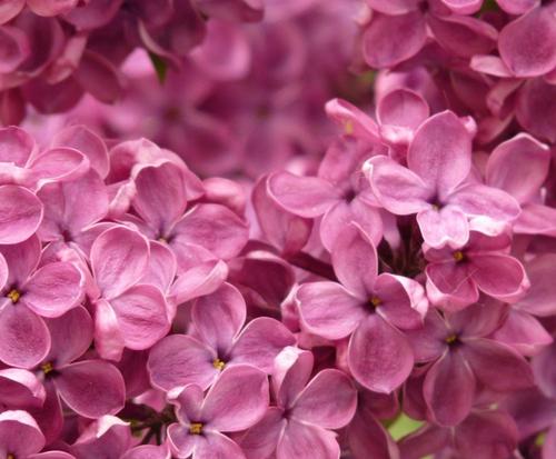 10.有了感恩，就可以有这个多彩的世界，有了感恩，就可以有真诚的友谊