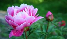 由爱人变成悲凉亲情的句子