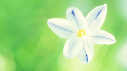 11.小时候，我以为自己可以拯救世界，但是长大后，我意识到整个世界都无法拯救我。